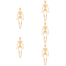 5Stk Anatomie Skelett Modell Aus Kunststoff Braun Für Studienzwecke