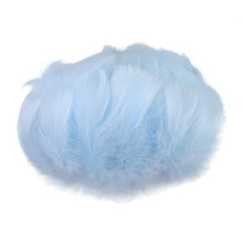 Xoxingysm Desktop Ornament 100Pc Colorful 6-12 Cm in Small Diy Decoration, 100Pc Simulated Feathers