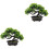 2St Groene Nepden Bonsai Plastic Decor Voor Binnenruimtes 2