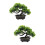 2St Groene Nepden Bonsai Plastic Decor Voor Binnenruimtes 6