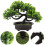 2St Groene Nepden Bonsai Plastic Decor Voor Binnenruimtes 9