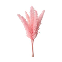 Pampas Grass Bouquet, 8-Pack Dried Floral Stems for Wedding and Table Decor, Neutral Home Decoration, Farmhouse Party Supplies