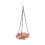 Bird Feeder and Waterer with 4 Compartments 1