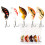 Esche da pesca Wobbler Crankbait 5 pezzi 1