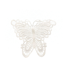Embroidery Sewing Lace Fabric Applique Patch, Exquisite Design Elegant And Eye-catching Butterfly Lace Trim for DIY Craft Costume Wedding, Double