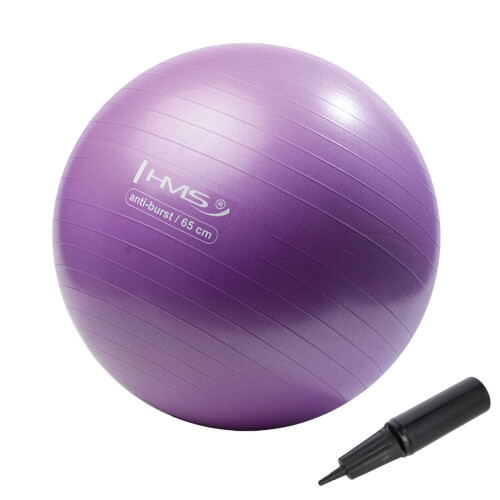65 cm paarse gymbal - anti-barst, antislip