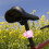 Waterproof Bike Light Auto-Sensing Alarm1Pack 5
