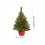 Pre-Lit Tabletop Christmas Tree Warm White LED PVC PE Tips 2