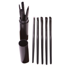 Ensemble de pinceaux à paupières professionnels ronds en tube, 5 pièces