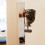 Western White Terrier Doorbell with Charming Chime and 4