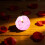 Peony & Rose Scented Candle Set4pcs 4