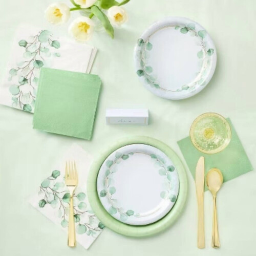 Pratos descartáveis verde-sálvia de 8,5 polegadas (pacote com 20) 1