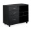 Mobile File Cabinet with 3 Drawers and File Storage 4