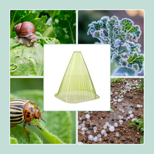 Gartenpflanzenglocken - Schützen Sie Setzlinge vor Schädlingen 1