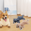 Plüsch-Hundespielzeug, 2er-Pack, weich, flach, quietschfrei 1