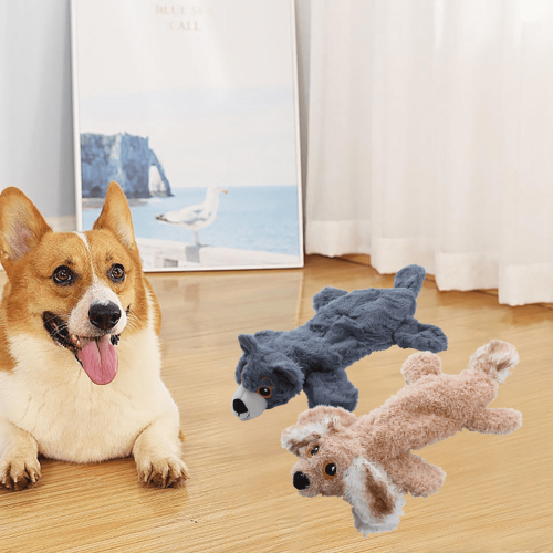 Plüsch-Hundespielzeug, 2er-Pack, weich, flach, quietschfrei