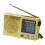 Full Band Portable Digital Radio Handheld Recorder 12