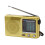 Full Band Portable Digital Radio Handheld Recorder 10