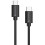 Champion USB-C Cable 60W 3m Black 1