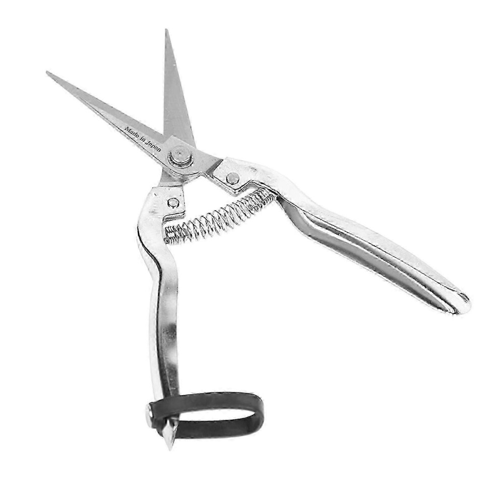 Professional garden pruner, pruning shears for thinning plants, agricultural and gardening tools