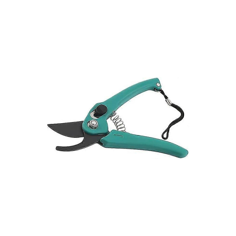 Plant pruning shears, garden shears, gardening tools, bonsai, lawn shears, flower shears, secateurs, garden shears, pruning shears