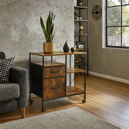 Mobile File Cabinet with Drawers and Shelves 1