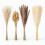 Getrocknetes Pampasgras-Set, 144-teilig - Boho Decor 5