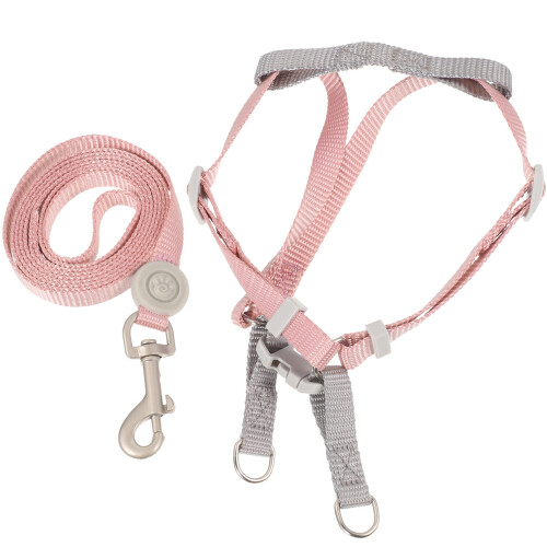3Ensembles Laisse Pour , , Ajustable 1