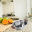 2Pcs Reusable Stainless Steel Serving Bowl with Handles 4