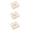 3Pièces Tortue Specimen Os Bois Décor Éducatif 6