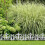 Vintage Gartenbeetzaun, 10 Gusseisenplatten 1