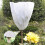 2x Cubierta vegetal de invierno 0,8x1,2 m, protección vegetal, reutilizable, resistente a las heladas 5