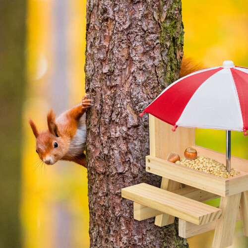Eichhörnchen-Picknicktisch-Futterspender mit 2 Schirmen 1