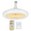 Quiet Operation Socket Fan Light With Remote Control, Bladeless Ceiling Fan With Dimmable LED Lighting For Bedroom And Study Room, Memory Socket Fan 1