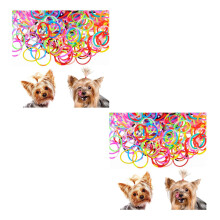 340Pcs Assorted Color Pet Rubber Bands Elastic Hair Bows for Dogs Cats