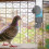 4Pcs Bird Cage Hanging Water Container Grey Water Feeder for Parrots 5