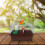 4Pièces Cage Animaux Portable ABS Fer Café Avec Perchoir 2