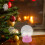 24Pièces Boules À Neige Rose Pour Cadeaux Décor 3