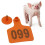 300Pcs Ear Tags Fool-Proof Design for Livestock Counting 11