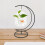 4Sets Transparent Glass Betta Fish Tank with Iron Stand for Home Use 9