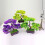 2Pcs Artificial Bonsai Tree for Desk Green Plastic Decorative Plants 9