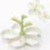 3Pcs Green Fruit Plates with Tree Picks for Snacks and Candy 11