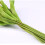 1500Pcs Orange Natural Rubber Bands for Office Packing Elastic 11