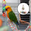 2Sets Hanging Bird Hammock Sturdy Parakeet Climbing Perch 10
