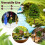40Pcs Scenery Model Trees in Dark Green for Model Building Decor 6