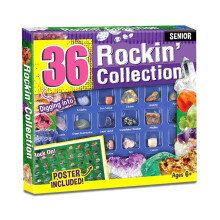 Kit didattico con lente d'ingrandimento, rocce e minerali misti e fossili autentici. Kit per la raccolta di rocce, fossili e minerali per gli