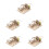5Sets DIY Marmer Loop Lichtbruin Cognitief Speelgoed 6