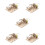 5Sets DIY Marmer Loop Lichtbruin Cognitief Speelgoed 8