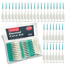SOL 250pcs Dental Floss Picks, Green Silicone Sticks and Interdental Tooth Brushes for Human Teeth Cleaning, Plastic Toothpicks with Dual Design, Non