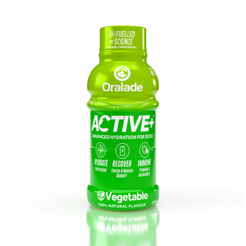 Oralade Active Vegetable 250ml x 6